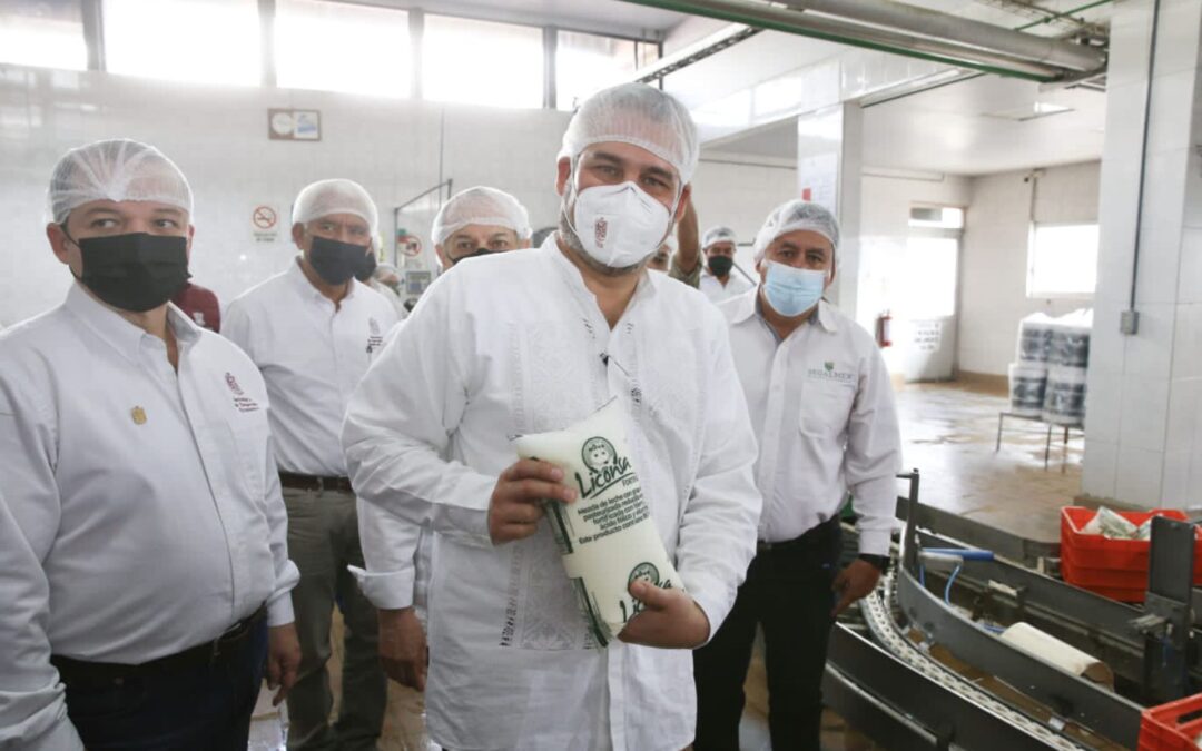 Aumenta 148% captación de leche de ganaderos michoacanos en Liconsa: Bedolla