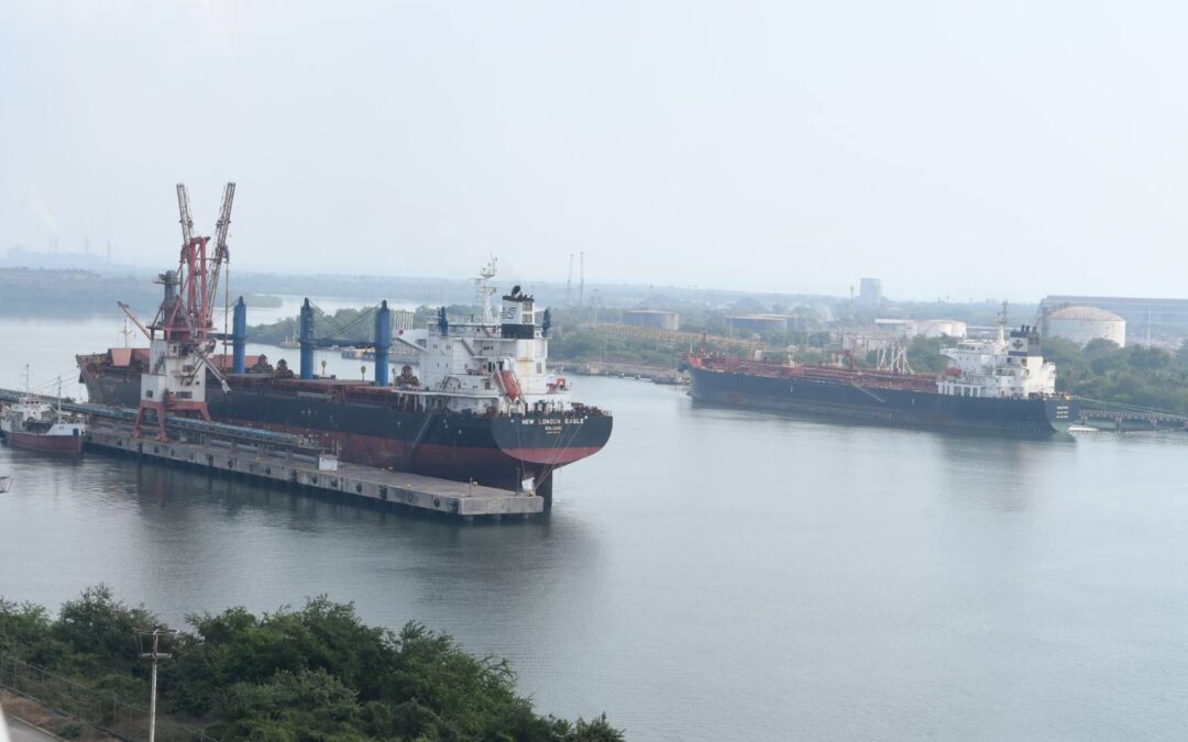 Lázaro Cárdenas, único puerto del Pacífico con capacidad de crecimiento: Sedeco