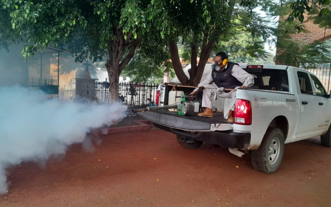 Michoacán por debajo de la media nacional en casos de dengue
