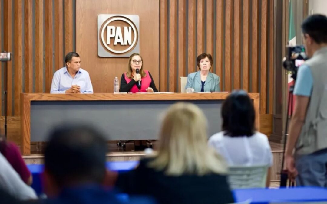 PAN Michoacán designa a Irene Villaseñor como Secretaria de Acción en Plenitud