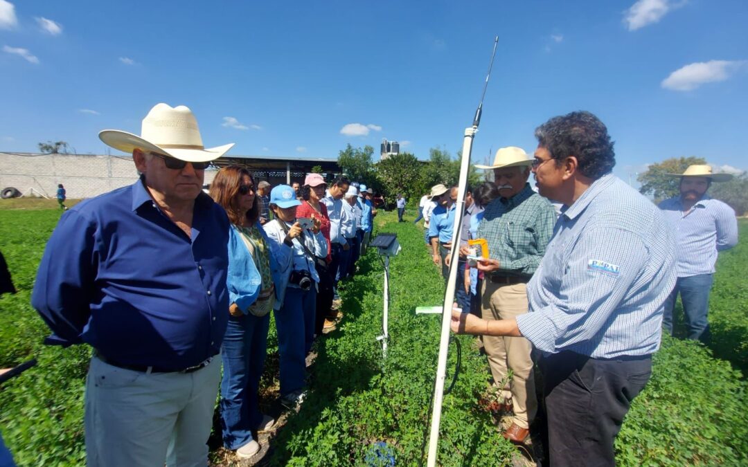 Sader y FAO revisan en Michoacán proyecto para uso eficiente del agua y fertilizante