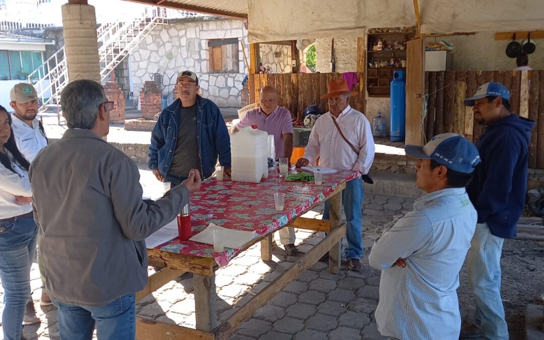 Capacita Sader a productores de espárrago para fortalecer cultivos