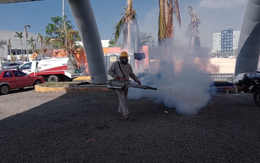 Brigadistas michoacanos protegieron contra el dengue a 600 mil habitantes de Acapulco