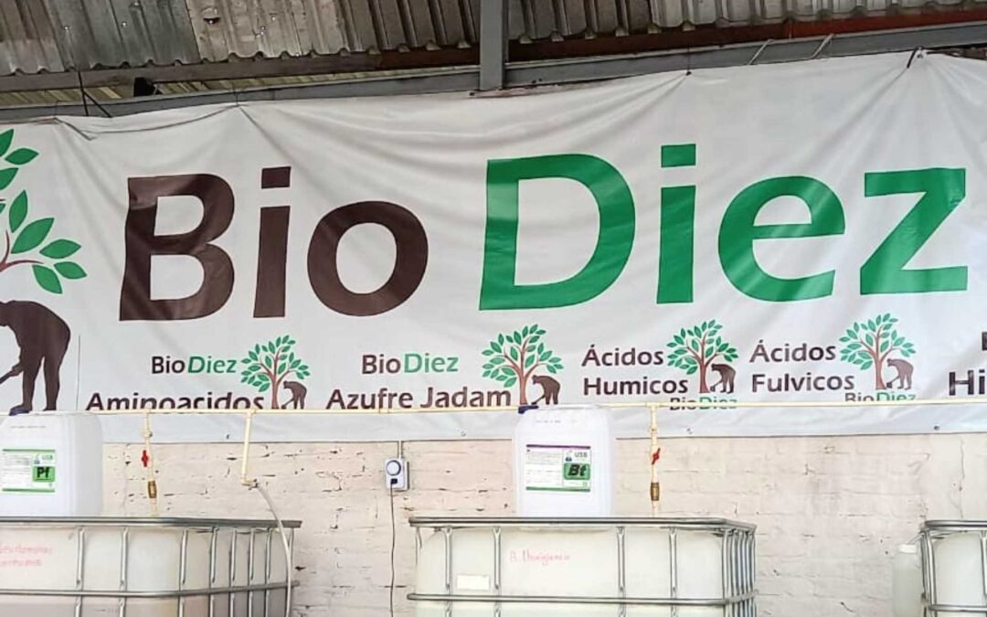 Productores agrícolas y Sader ponen en marcha biofábrica en Peribán