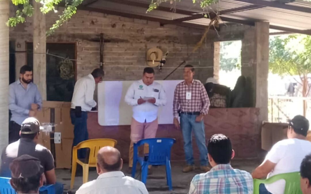 Sader continúa con la capacitación a productores de cítricos de la región de Apatzingán