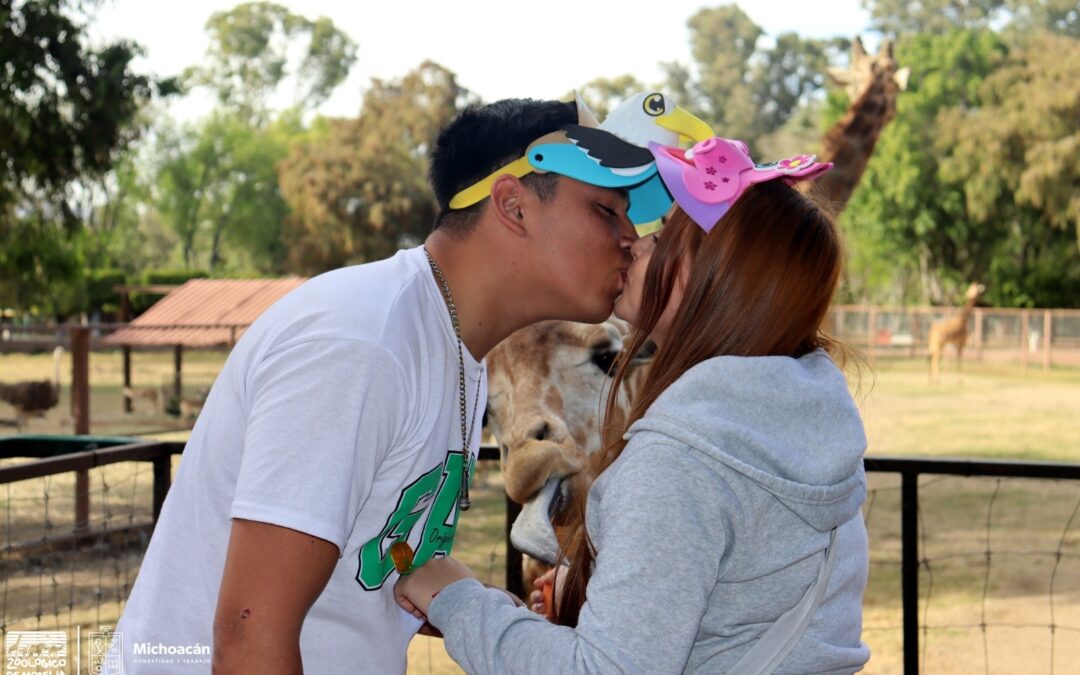 ¿Sin planes para celebrar el amor? Habrá bodas y cena romántica en el Zoo de Morelia