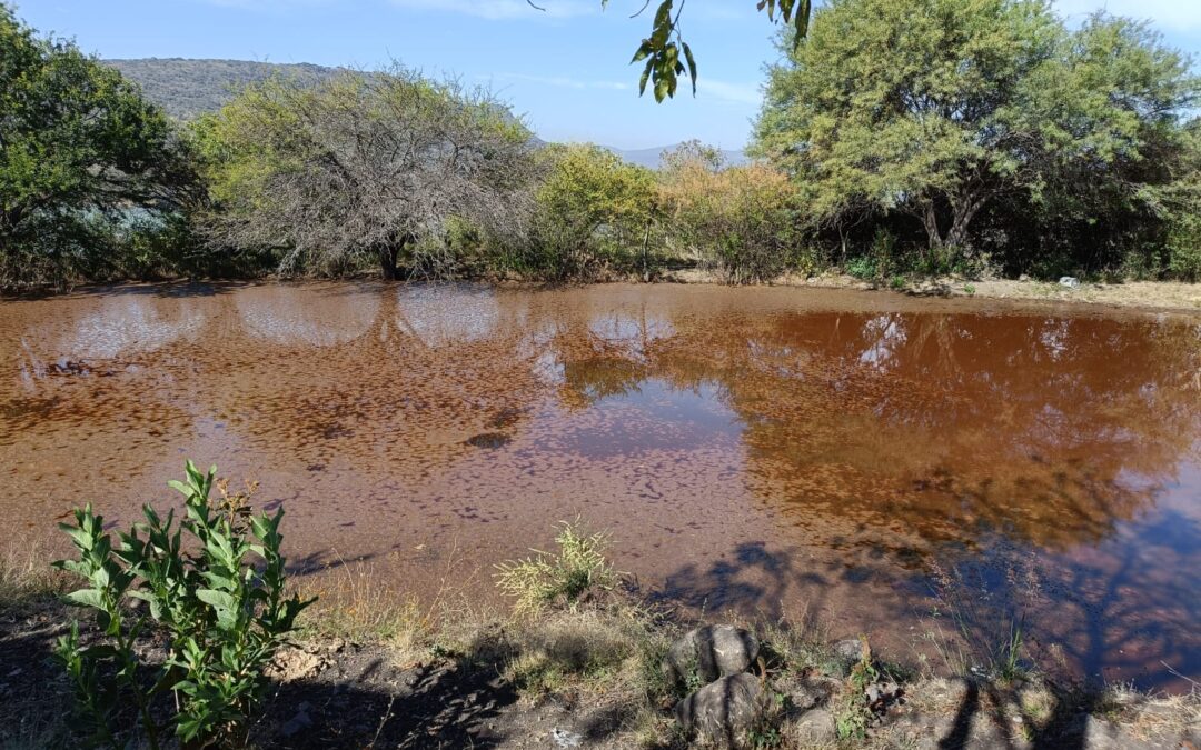 La denuncia ambiental es fundamental para cuidar el agua: Proam