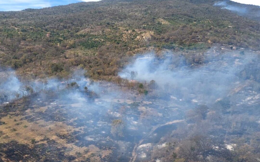 Brigadistas atienden 6 incendios forestales en Michoacán