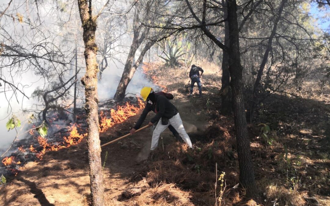Combate a incendio forestal en Tlalpujahua, con 80 % de avance