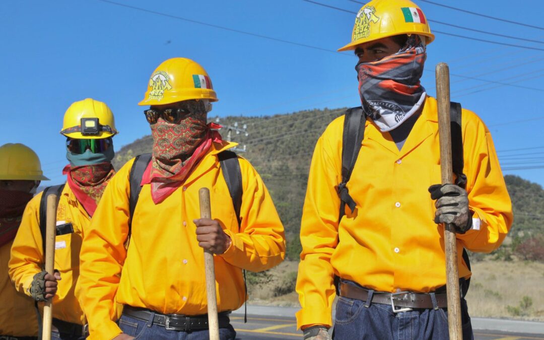 Bajo control y sin riesgos, incendios forestales: Bedolla