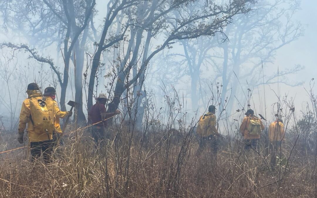 Se atienden 7 incendios forestales en Michoacán