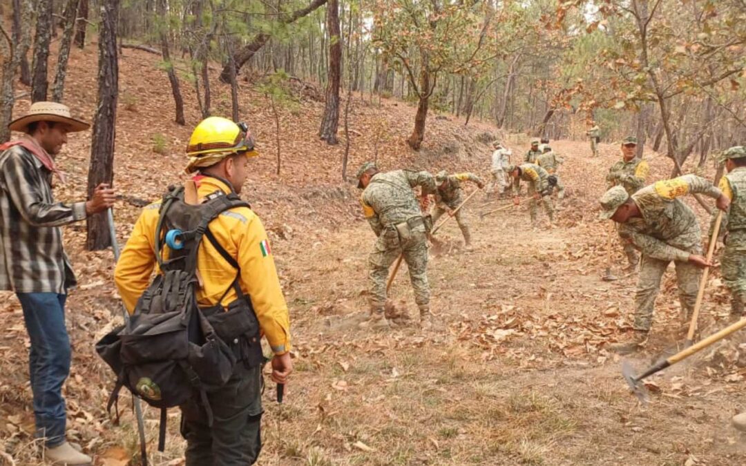 Ejército Mexicano y GN aplican Planes DN-III-E y GN-A para la sofocación de incendio en el municipio de Aguililla, Michoacán.