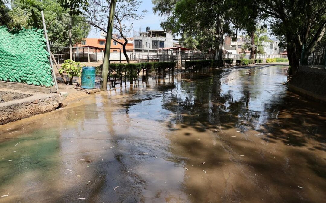 ¡Emergencia! Animales del Zoo de Morelia en peligro por agua contaminada vertida por el OOAPAS