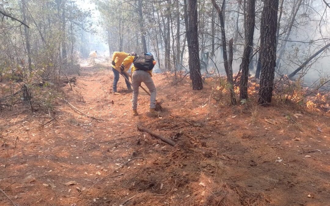 Atienden incendio en Charo; apagan uno en Chinicuila y controlan 2 en Coalcomán y Aguililla