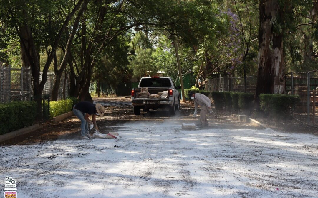 Previene Zoo de Morelia riesgo sanitario por inundación con lodos; se realizó encalado