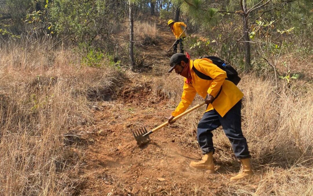 Combatientes apagan incendio forestal en Chinicuila y controlan 5 más