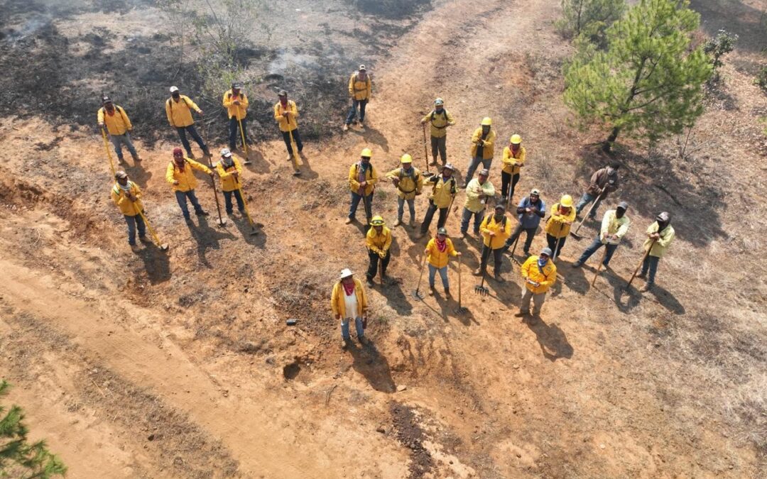Michoacán emplea 15 drones en el combate a incendios forestales