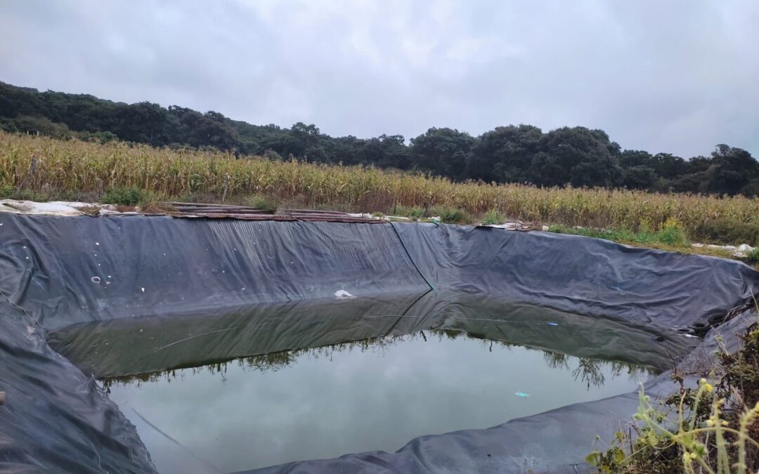 Hacer ollas de agua es ilegal; con Guardián Forestal serán detectadas