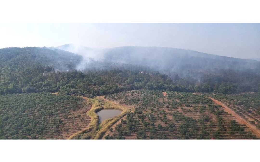 Controlado al 100 % el incendio forestal en Ario gracias al helicóptero con helibalde