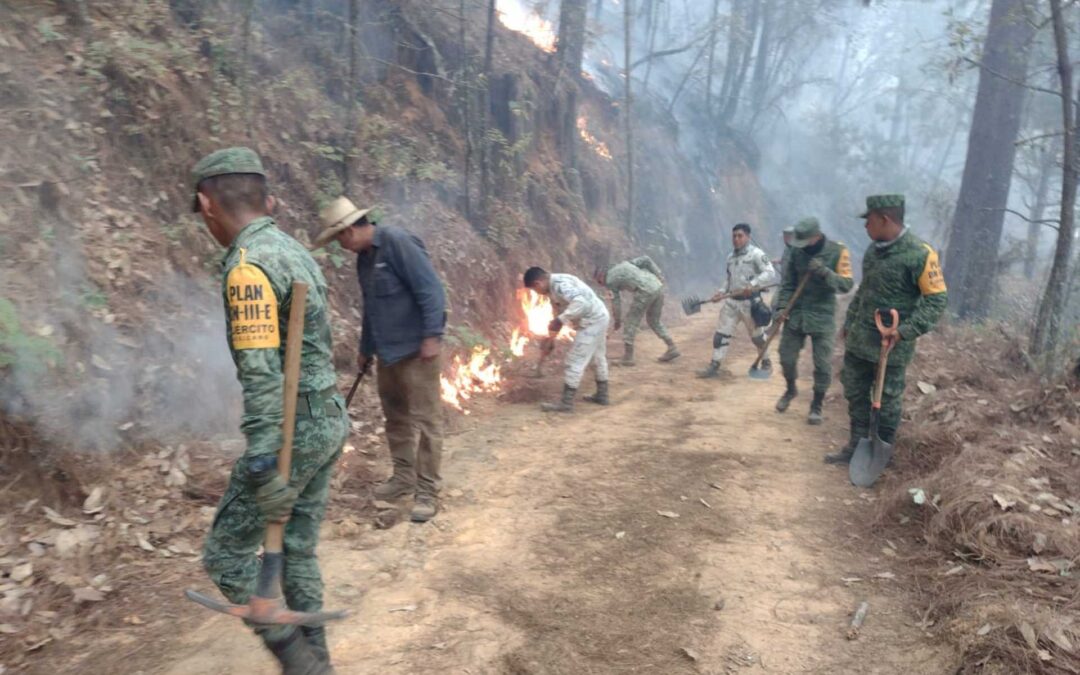 Ejército Mexicano y GN aplican Planes DN-III-E y GN-A, para sofocar incendios en 4 municipios de Michoacán