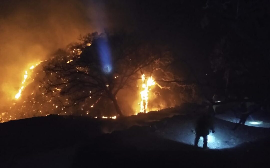 Brigadistas combaten incendios forestales en Morelia y La Huacana