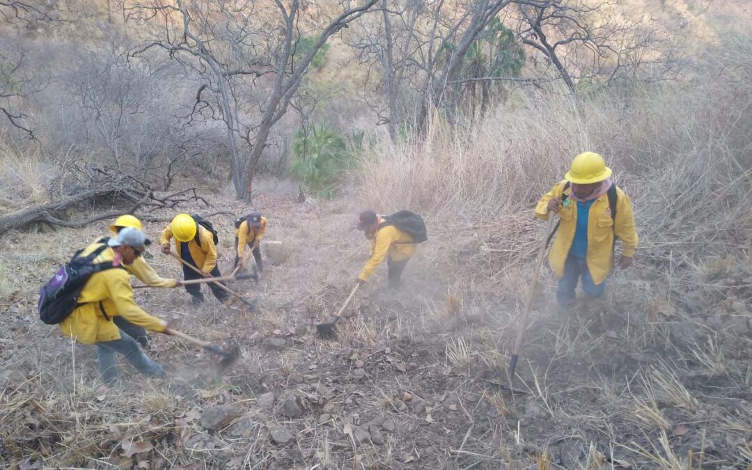 Brigadistas combaten incendios forestales en Morelia y La Huacana