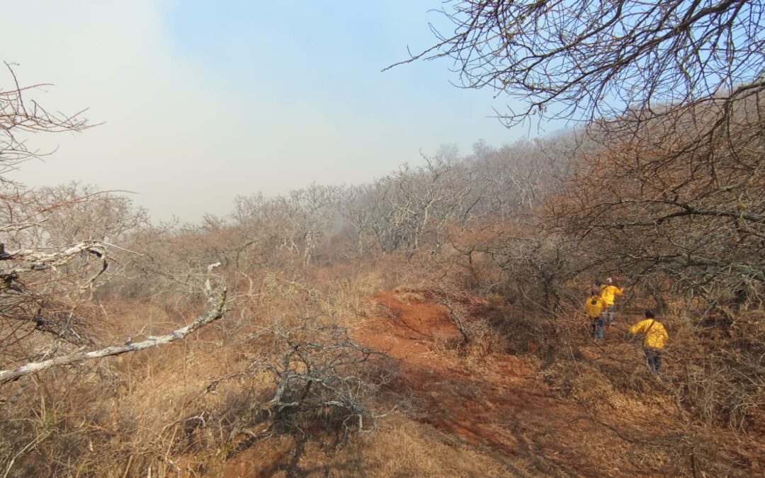 Brigadistas controlan incendio forestal en Morelia y atienden 9 más en otros municipios