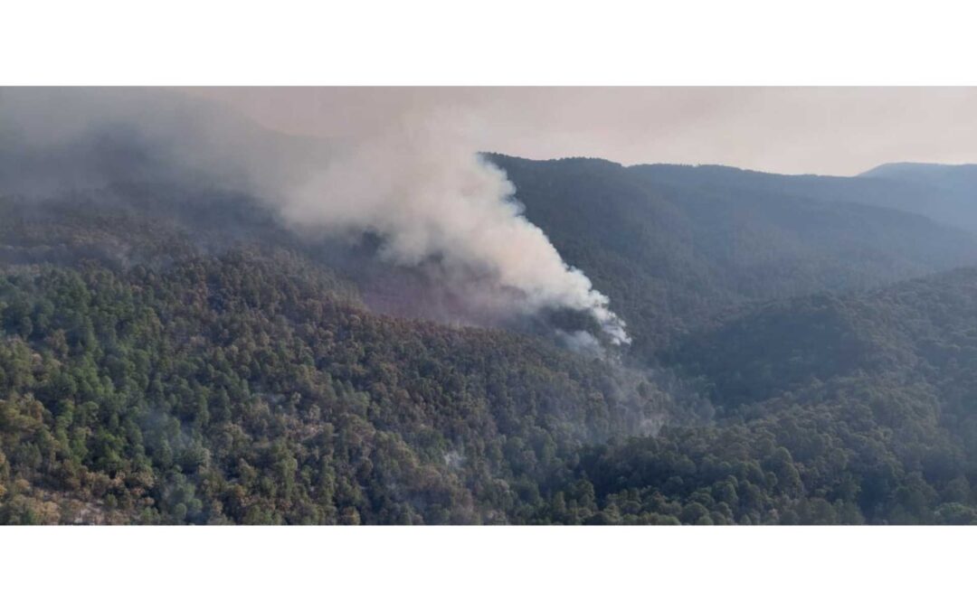 Se suma helicóptero a combatir incendio forestal en Zinapécuaro