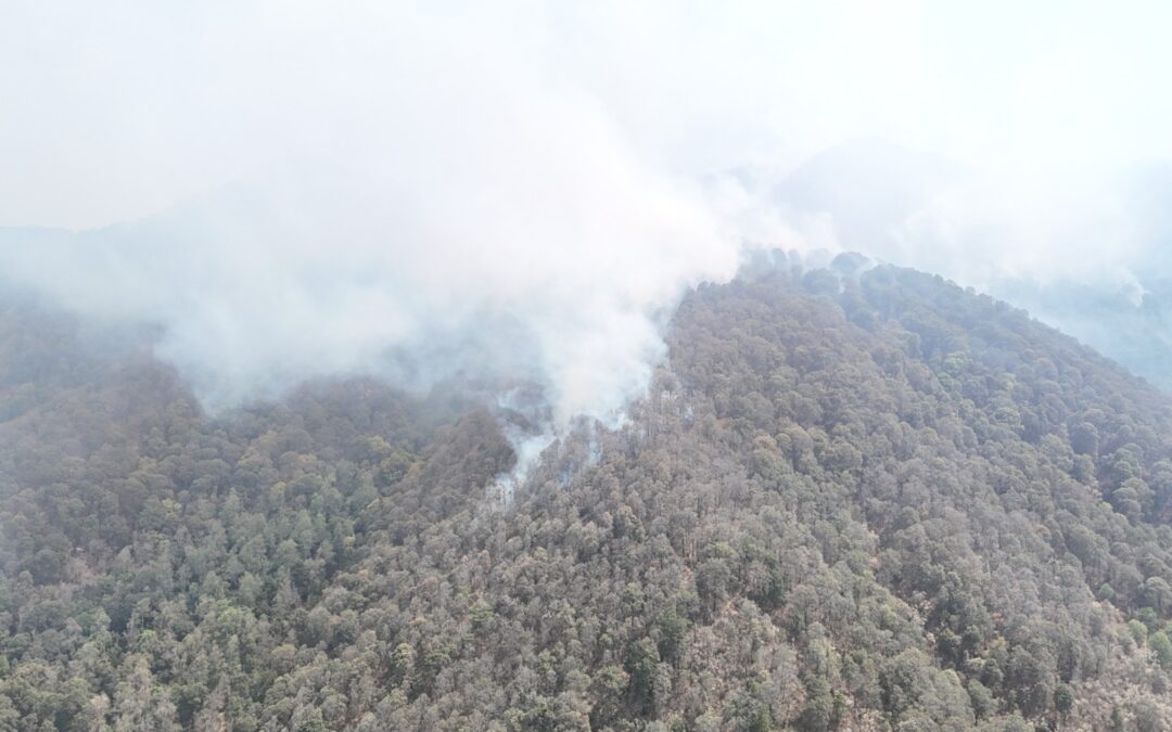 Continúan brigadistas combatiendo incendio forestal en Pátzcuaro