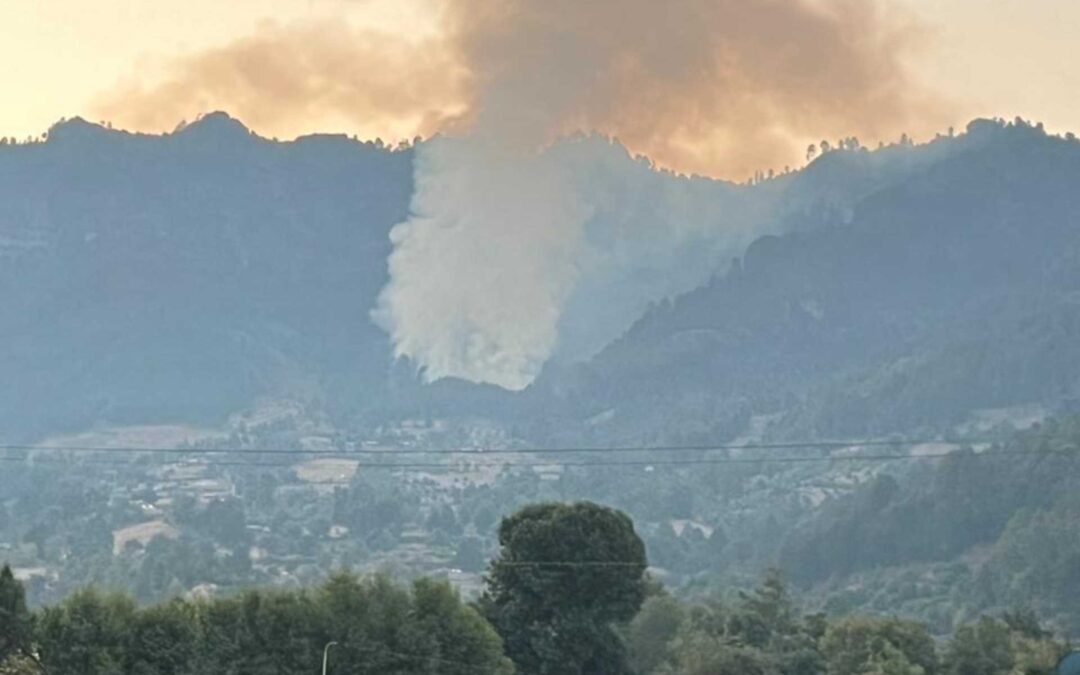 Controlados los incendios forestales en Pátzcuaro y Reserva de la Monarca