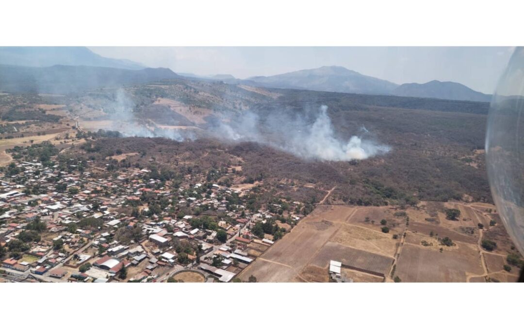 Helicóptero sobrevuela incendio forestal en Jiménez; continúa atención por tierra