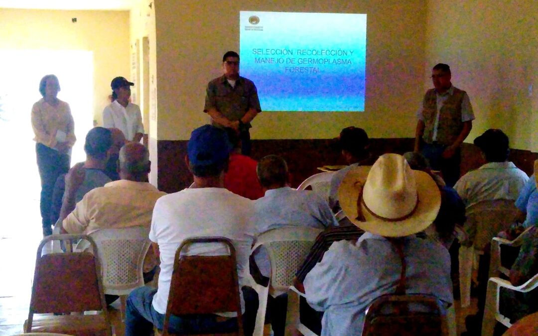 Productores agrícolas y estudiantes aprenden a producir arboles resistentes a altas temperaturas