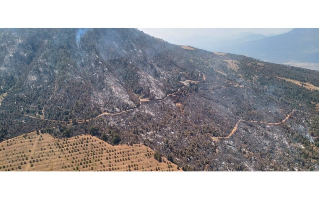 Sobrevuelan incendio forestal en Purépero y Zacapu; brigadas atienden por tierra