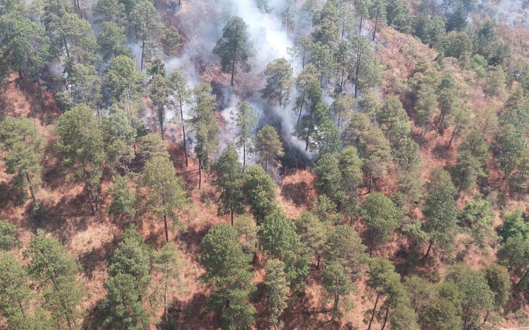 Helicóptero con helibalde combate incendio forestal en Zinapécuaro