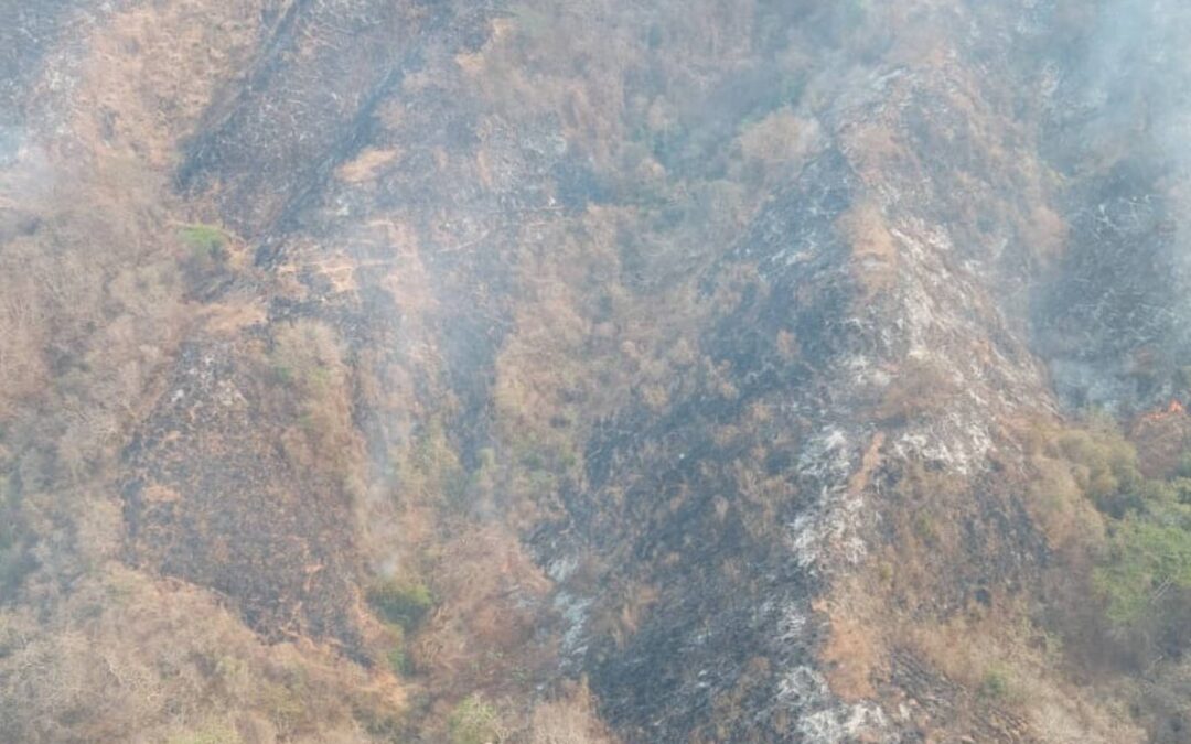 Se suma helicóptero para sofocar incendio forestal en Lázaro Cárdenas