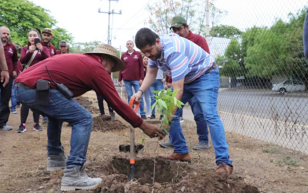 Con inicio de lluvias Gobierno de Apatzingán reforesta la Unidad Deportiva «Adolfo López Mateos»