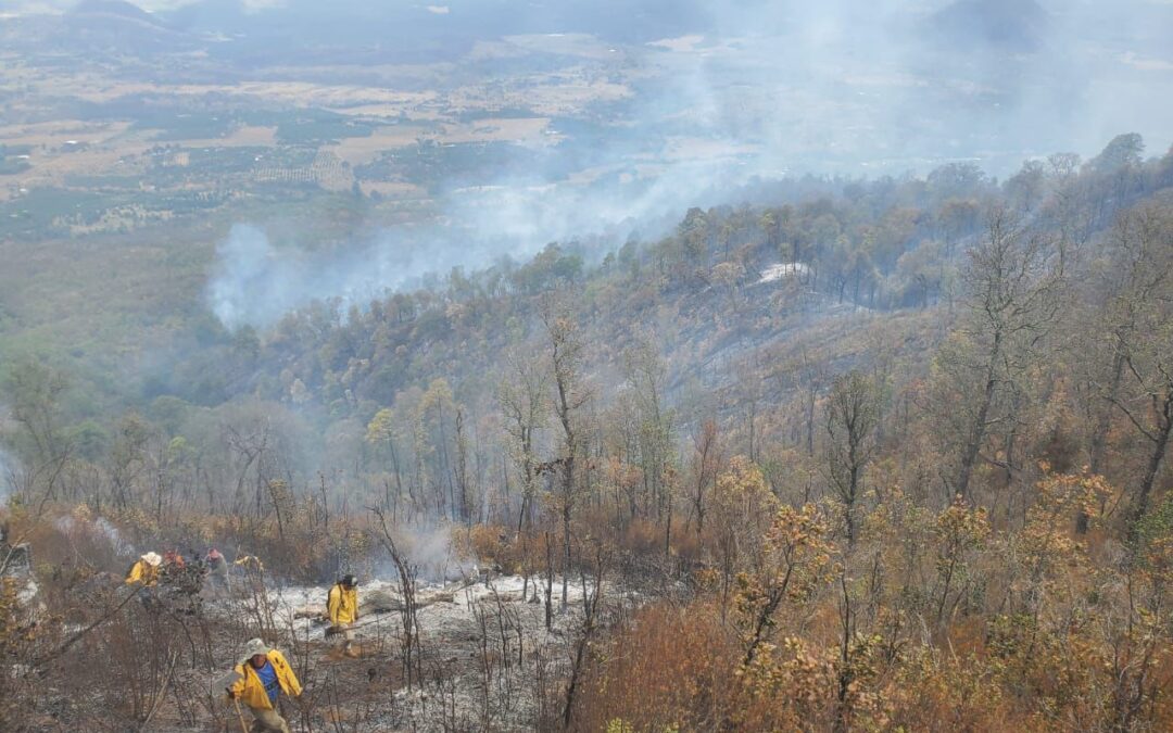 Más de 100 brigadistas forestales atienden cinco incendios en Michoacán