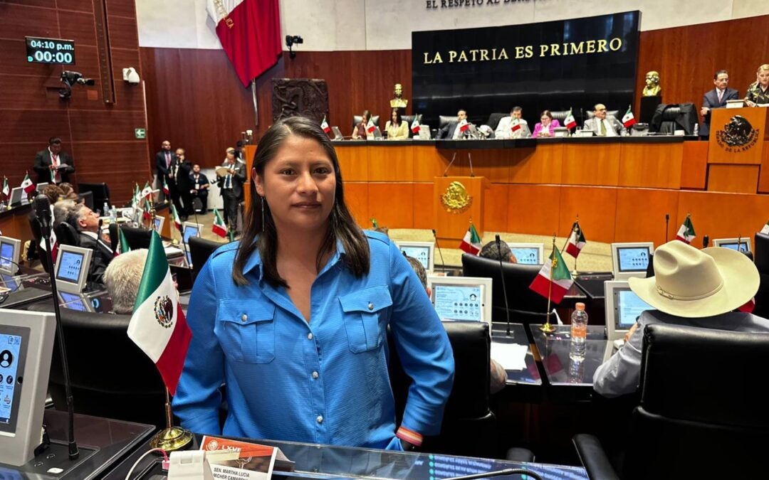 Designan a Celeste Ascencio presidenta de la Comisión de Derechos Humanos en el Senado