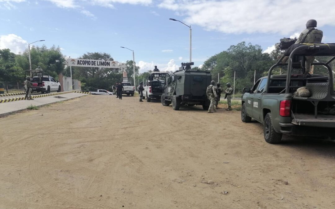 Fuerzas federales y estatales atienden intento de incendio en empaque limonero, en Apatzingán