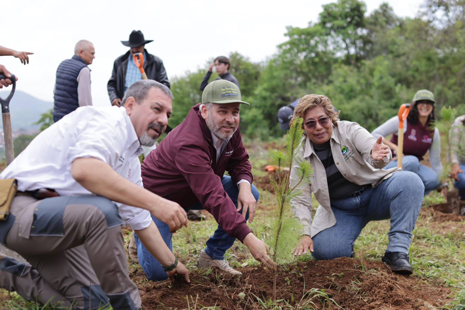 Más de 16 millones de árboles plantados en 2024