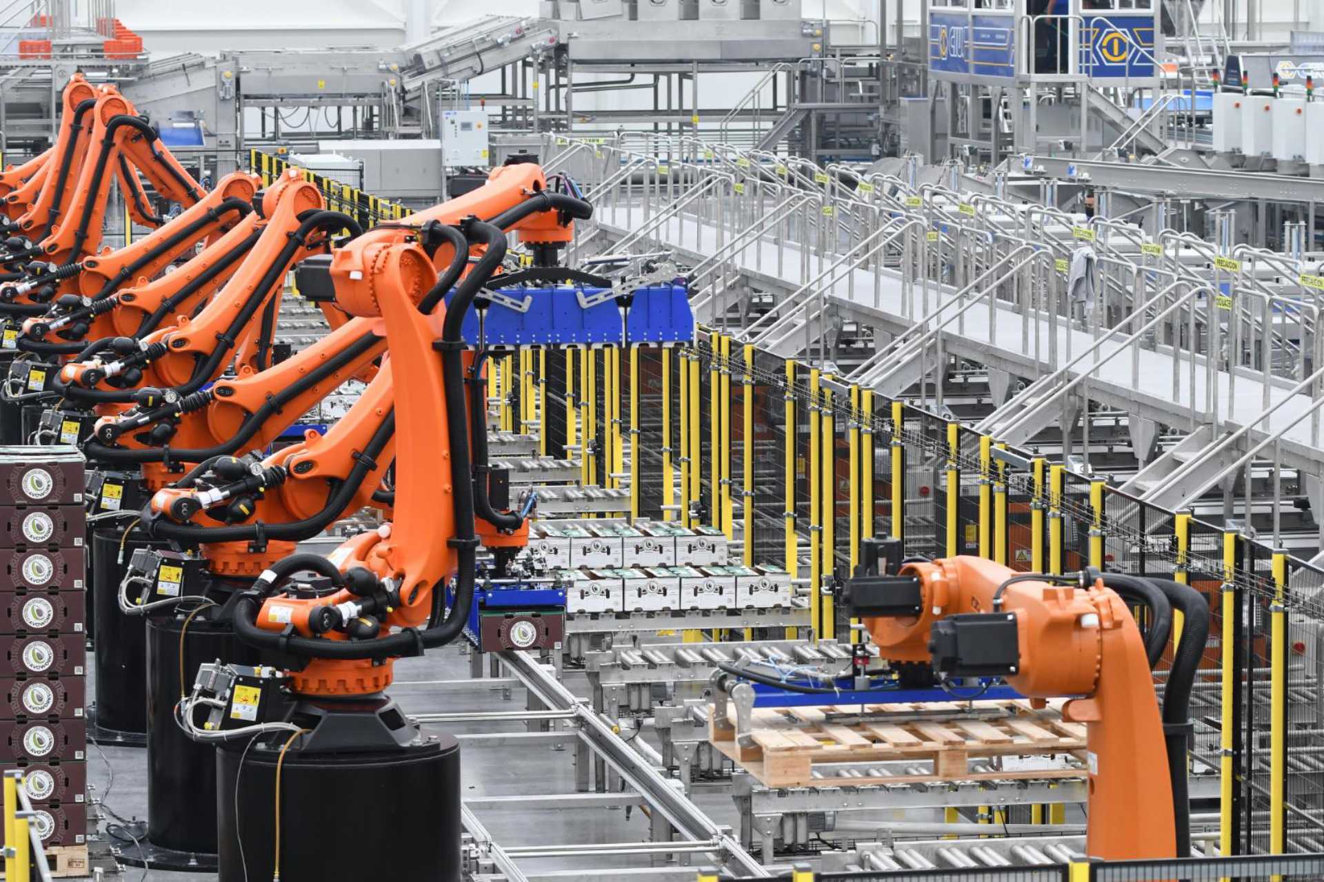 Crecimiento de la economía de Michoacán 2