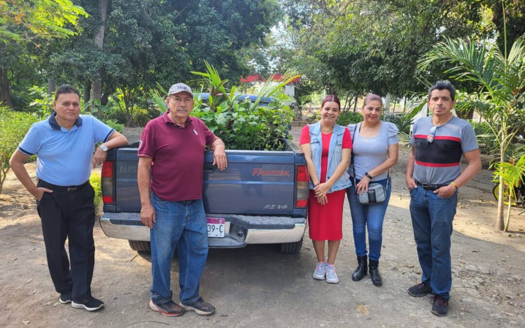 Gobierno de Apatzingán dona planta para reforestar jardineras del Cecytem 09 Local.