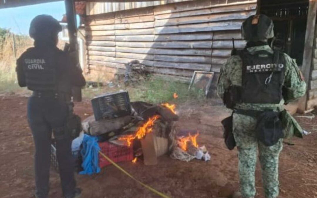 Destruyen 3 campamentos clandestinos en Parácuaro: SSP