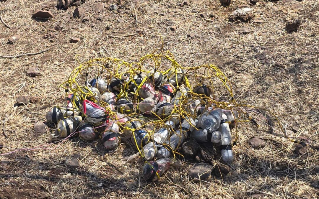 Decomisados 116 explosivos y fusiles en Apatzingán: SSP