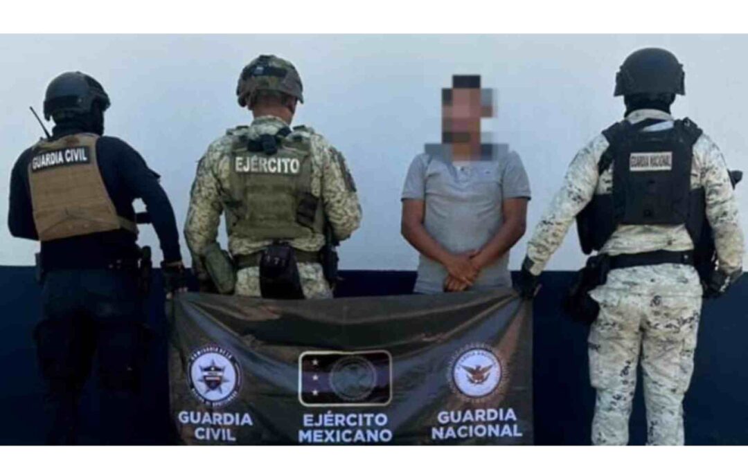 En Parácuaro, la SSP detiene a hombre en plantío de mariguana y destruye campamento clandestino