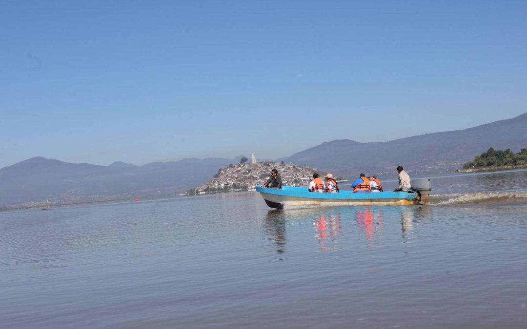 Pescado blanco de Pátzcuaro será protegido con Indicación Geográfica: ICTI