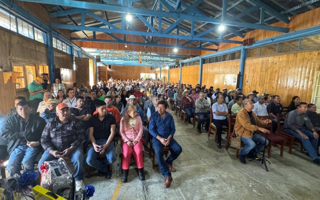 Rinde protesta ante el IMSS Comité Ciudadano de San Juan Nuevo Parangaricutiro.