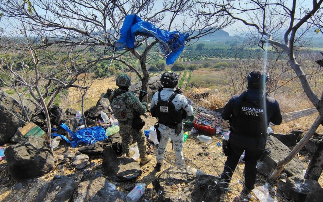 SSP desactiva 15 artefactos explosivos y destruye campamento clandestino en Apatzingán
