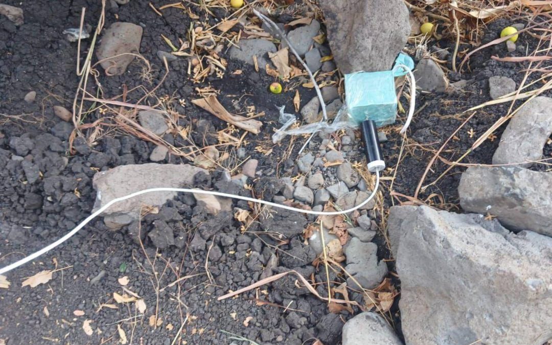 SSP y Defensa desactivan cuatro explosivos improvisados en Buenavista