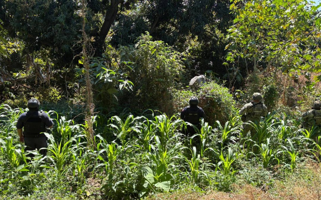 Agreden a balazos a elementos de la SEDENA en camino rural de Apatzingán; hay dos detenidos